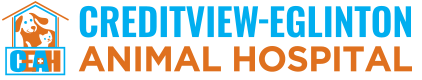 Creditview Eglinton Animal Hospital
